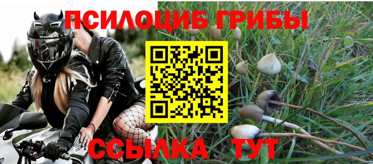 Псилоцибиновые грибы Psilocybine cubensis  Галлюциногенные грибы прущие грибы  Магнитогорск  Вход с VPN 